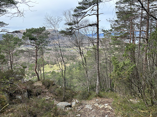 Fra stien opp mot Svanelitjørna. Ramnafjellet kan ses i bakgrunnen.