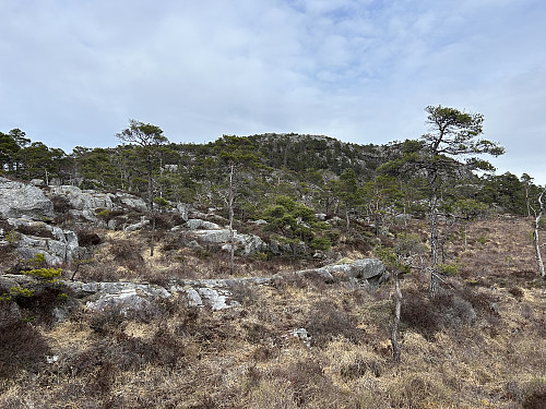 Aust for Husalifjellet kan ses fra nordsiden av Svanelitjørna. Terrenget oppover her var ganske krevende.