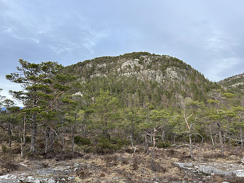 Husalifjellet sett fra flatene nedenfor på vestsiden