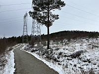 ØyvindBergkvam_20240825_66caebc614ecc.jpg