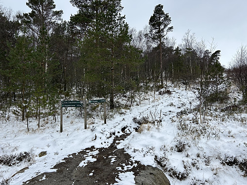 Nysnøføre opp til Bogafjellet