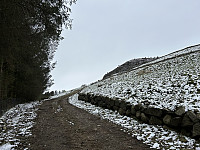 ØyvindBergkvam_20240825_66caf06f06f3e.jpg