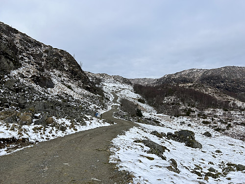 Langs grusvei på vei mot Homslandsfjellet