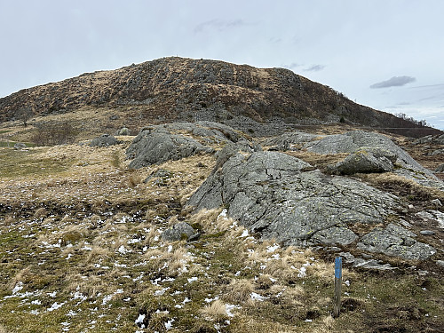 Risfjellet i Gjesdal