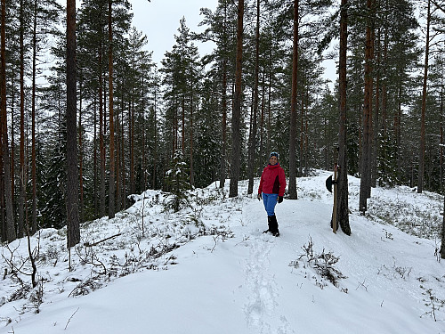 Toppen av Brattåsen