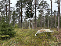 ØyvindBergkvam_20240826_66cc48af4db78.jpg