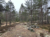 ØyvindBergkvam_20240826_66cc48b13b704.jpg