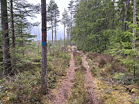 ØyvindBergkvam_20240826_66cc48b34575a.jpg
