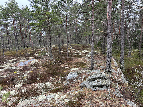 Toppunktet på Halvfarsåsen (197 moh) ligger i Bohuslän