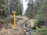 ØyvindBergkvam_20240826_66cc48be785f2.jpg