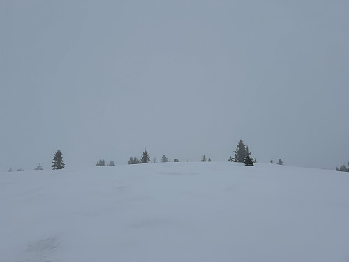 Moksjøhøgda 974 moh