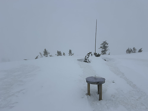 Sjøsæterfjellet 1049 moh