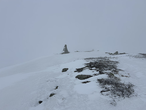 Snauskallen 1030 moh
