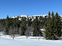 ØyvindBergkvam_20240826_66cc56b9ad3dc.jpg