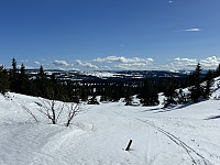 ØyvindBergkvam_20240826_66cc56bb03480.jpg