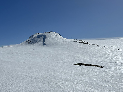 Sukkertoppen lever opp til navnet sitt:)
