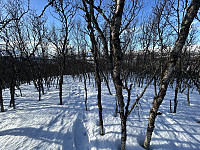 ØyvindBergkvam_20240826_66ccaca5cc1e2.jpg