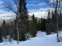 ØyvindBergkvam_20240903_66d72b5f83670.jpg