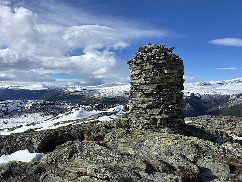 Fjellmillopiggen 1140 moh