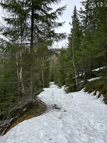 Den en kilometer lange turen ble ganske tung pga at det lå mye snø igjen på veien/stien opp til toppen.