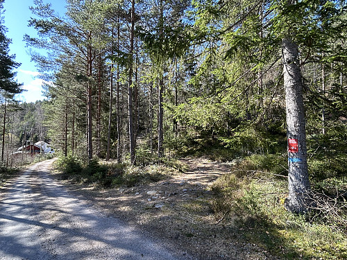 Herfra går det fin og blåmerket sti inn til Lurkevanna. Gården Kavlemyra ses bak til venstre