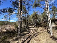 ØyvindBergkvam_20240903_66d744ae4b85d.jpg