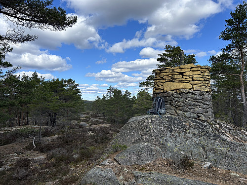 Riksrøys F