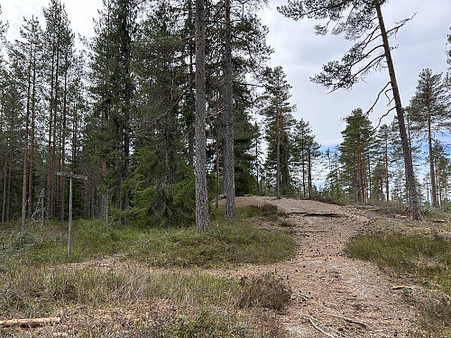Turen går via Kjerringfjellet som egentlig bare er en liten høyde underveis
