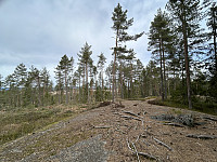 ØyvindBergkvam_20240903_66d7479376c7c.jpg