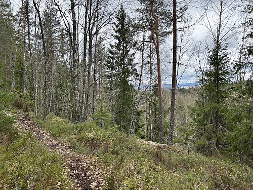 Fin sti på vei opp til Jultonåsen