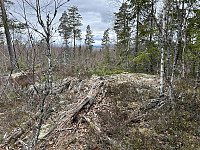 ØyvindBergkvam_20240903_66d74bbdb7567.jpg