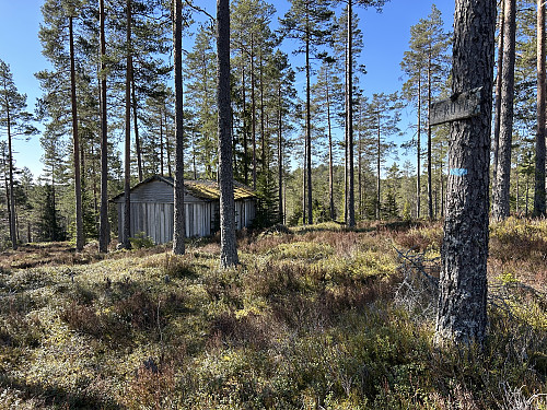 Mellom riksrøys 53 og 52B kunne jeg følge Flyktningeruta