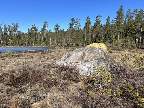 Artig riksrøys 52B