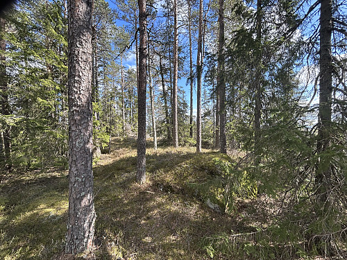 Petteråsen i Rælingen