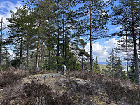 ØyvindBergkvam_20240904_66d8994dce8b8.jpg