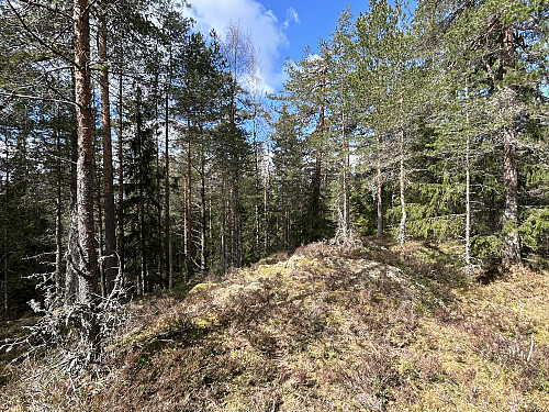 Hukåsen var ikke så spennende topp