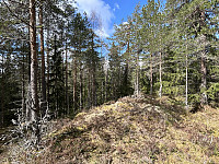 ØyvindBergkvam_20240904_66d8995110553.jpg