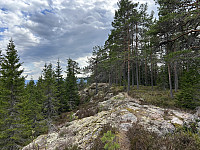 ØyvindBergkvam_20240909_66df1cb8dc3e0.jpg