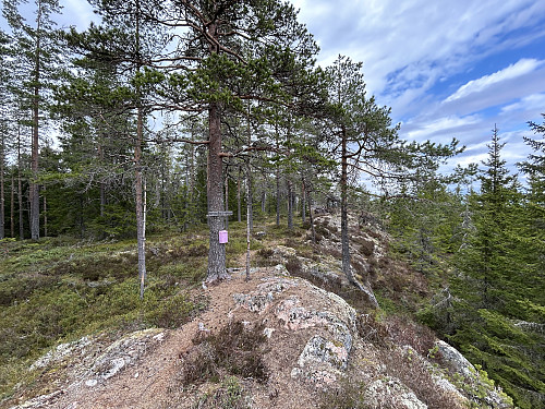 Skilt og turpostkasse på Nesberget