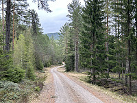 ØyvindBergkvam_20240909_66df209343f4d.jpg