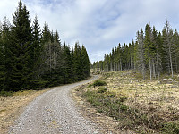 ØyvindBergkvam_20240909_66df254c78b32.jpg
