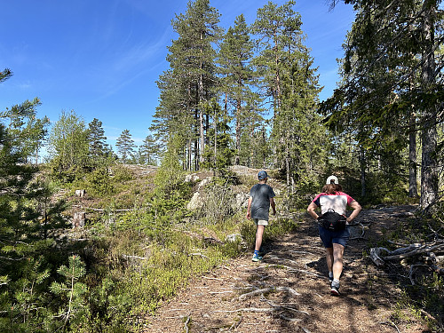 Kristian og Cecilie i god driv oppover mot Bergeråsen. Toppunktet ses til venstre i bildet