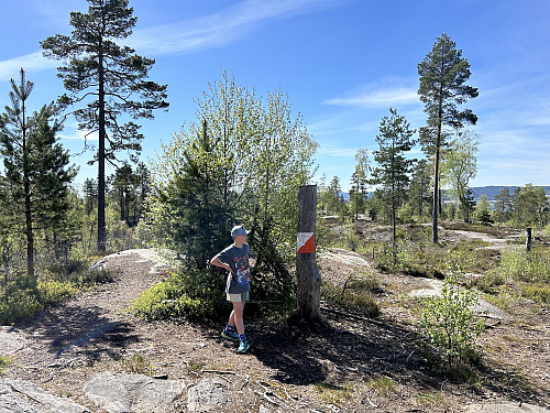 Tur-O-post på Bergeråsen