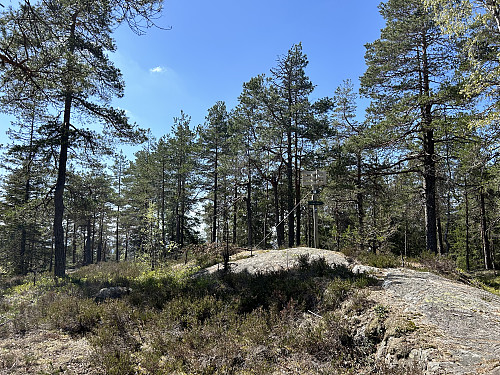 Det gamle trigpunktet er omtrent tohundre meter unna det nye utsiktstårnet.