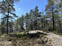 ØyvindBergkvam_20240909_66df294015bb1.jpg