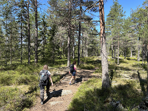 Linda og Cecilie på vei mot tårnet som skimtes mellom trærne i bakgrunnen