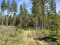 ØyvindBergkvam_20240909_66df332f023f0.jpg