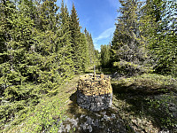 ØyvindBergkvam_20240909_66df3332b555c.jpg