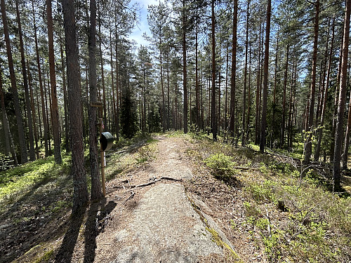 Brattåsen i Lillestrøm