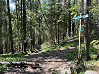 ØyvindBergkvam_20240924_66f2b8ab30d6a.jpg